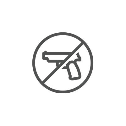 icon no weapons