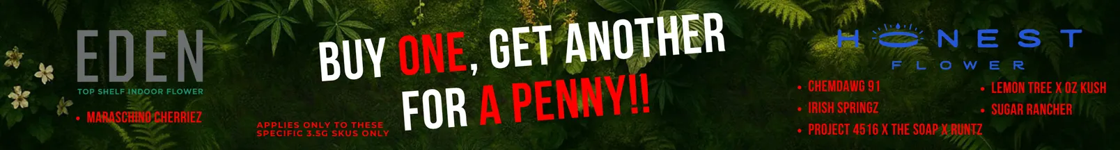 BOGO September